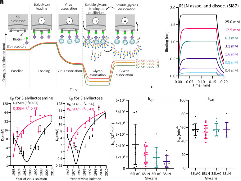 An external file that holds a picture, illustration, etc.
Object name is pnas.2304992120fig01.jpg