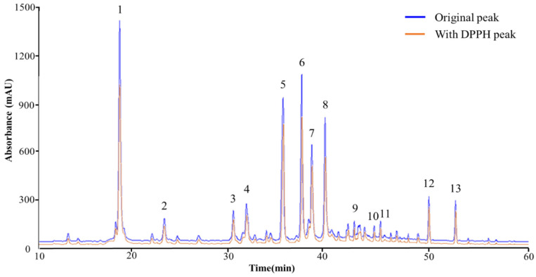 An external file that holds a picture, illustration, etc.
Object name is antioxidants-12-01582-g001.jpg