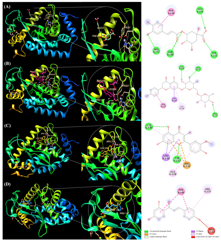 An external file that holds a picture, illustration, etc.
Object name is antioxidants-12-01582-g006.jpg