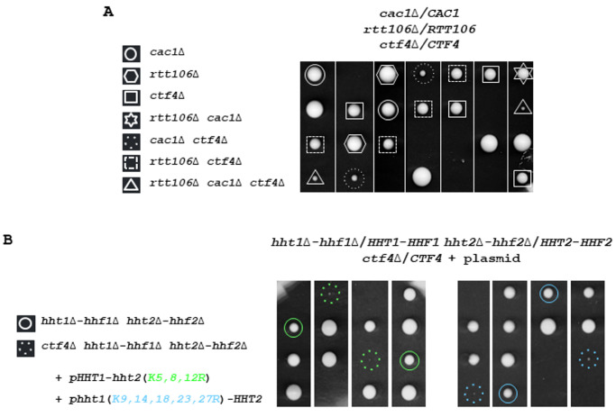 An external file that holds a picture, illustration, etc.
Object name is ces-07-069-g001.jpg