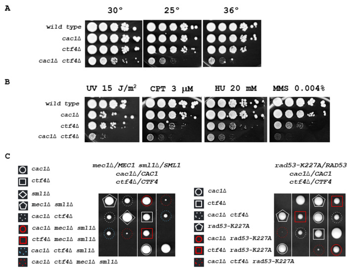 An external file that holds a picture, illustration, etc.
Object name is ces-07-069-g002.jpg