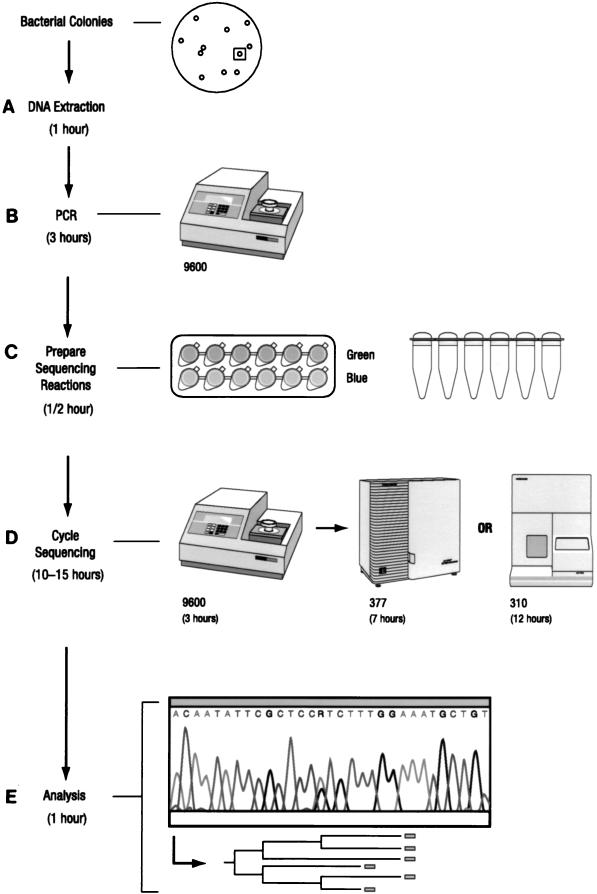 An external file that holds a picture, illustration, etc.
Object name is jm1280570001.jpg