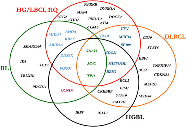 An external file that holds a picture, illustration, etc.
Object name is 428_2023_3590_Fig3_HTML.jpg