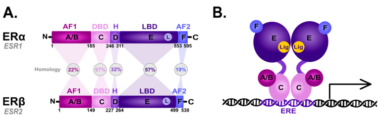 An external file that holds a picture, illustration, etc.
Object name is cancers-15-04689-g001.jpg