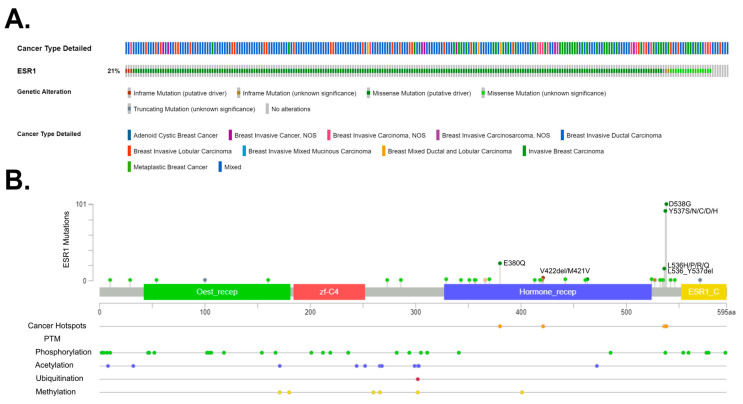 An external file that holds a picture, illustration, etc.
Object name is cancers-15-04689-g004.jpg