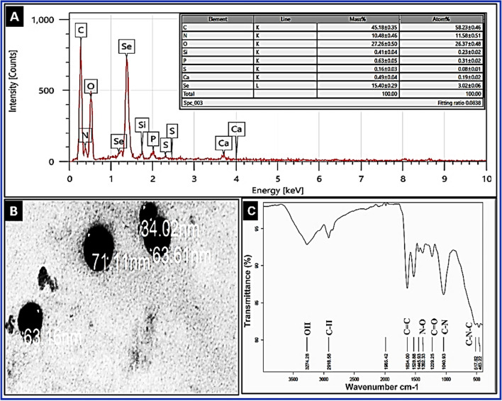 An external file that holds a picture, illustration, etc.
Object name is 13568_2023_1622_Fig2_HTML.jpg