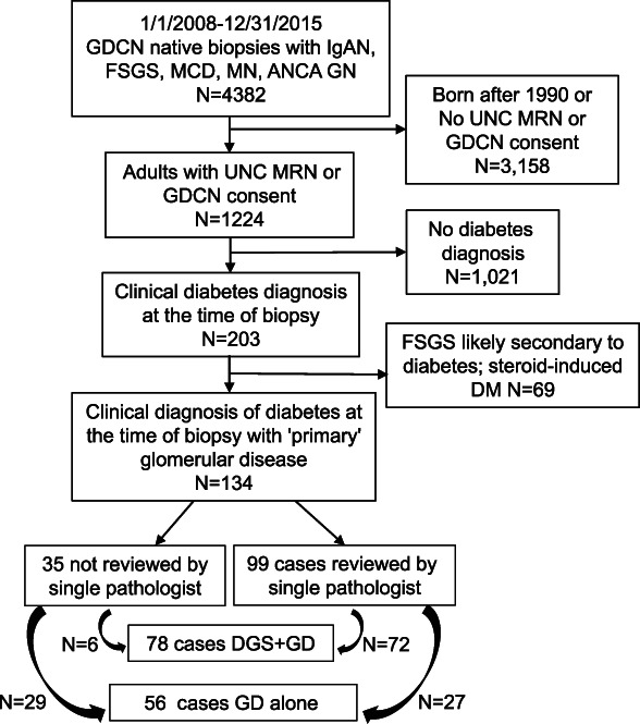 An external file that holds a picture, illustration, etc.
Object name is kidney360-4-01445-g002.jpg