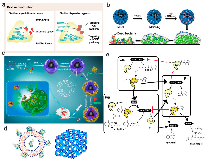 An external file that holds a picture, illustration, etc.
Object name is pharmaceutics-15-02582-g004.jpg