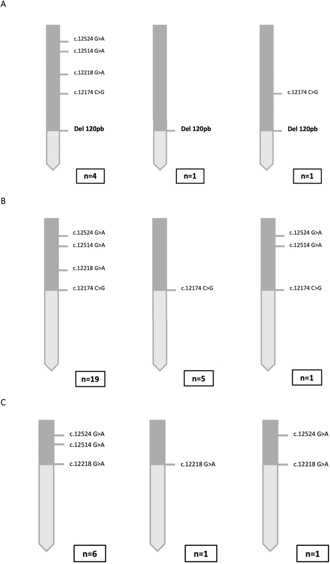 An external file that holds a picture, illustration, etc.
Object name is j_almed-2023-0050_fig_003.jpg