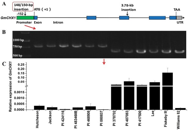 An external file that holds a picture, illustration, etc.
Object name is erad404_fig2.jpg