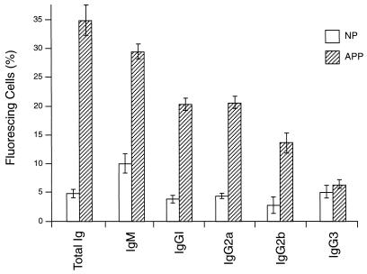 An external file that holds a picture, illustration, etc.
Object name is ii0980385004.jpg