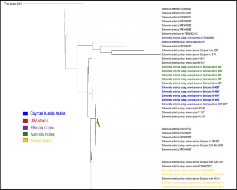 An external file that holds a picture, illustration, etc.
Object name is fvets-11-1331916-g005.jpg