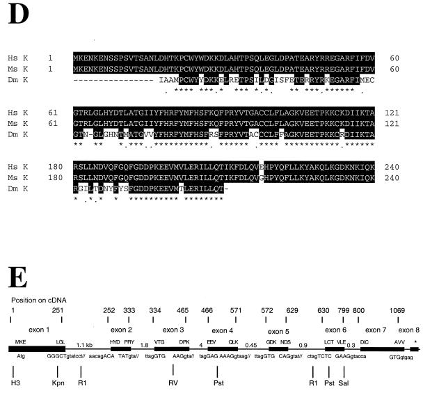 An external file that holds a picture, illustration, etc.
Object name is mb07802532de.jpg