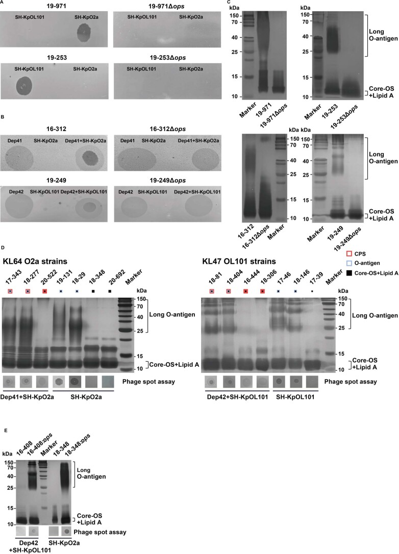 An external file that holds a picture, illustration, etc.
Object name is 41564_2024_1612_Fig15_ESM.jpg