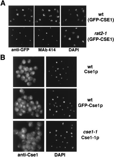 An external file that holds a picture, illustration, etc.
Object name is mb1180546007.jpg