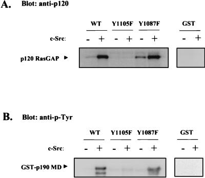 An external file that holds a picture, illustration, etc.
Object name is mb1281284006.jpg