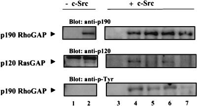 An external file that holds a picture, illustration, etc.
Object name is mb1281284007.jpg