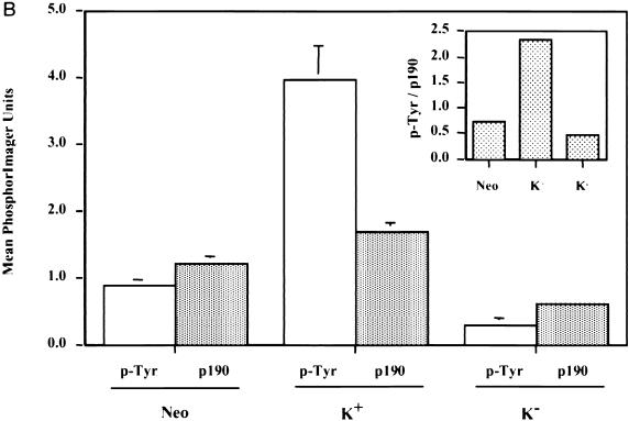 An external file that holds a picture, illustration, etc.
Object name is mb128128405b.jpg