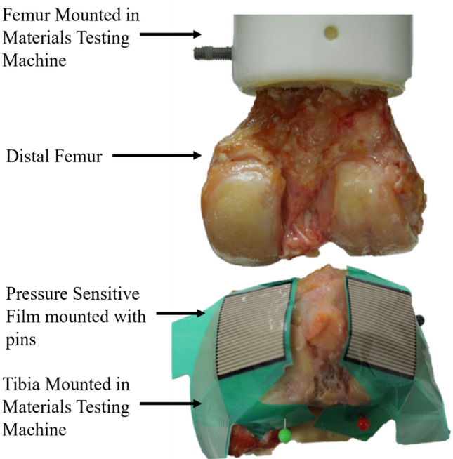 An external file that holds a picture, illustration, etc.
Object name is 10439_2024_3464_Fig4_HTML.jpg