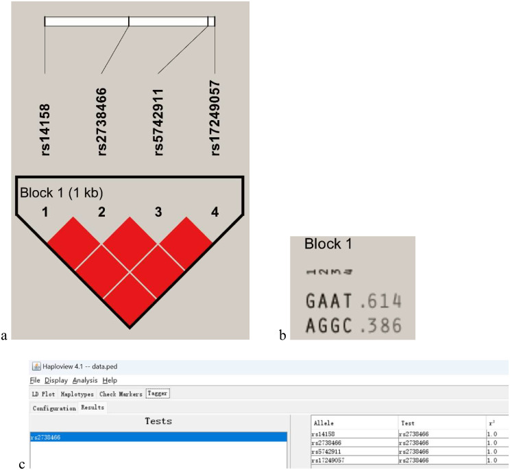 An external file that holds a picture, illustration, etc.
Object name is 12944_2024_2101_Fig3_HTML.jpg