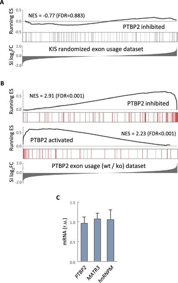 An external file that holds a picture, illustration, etc.
Object name is elife-96048-fig3-figsupp1.jpg