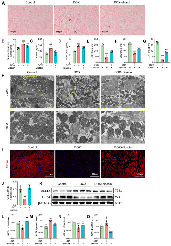 An external file that holds a picture, illustration, etc.
Object name is biomolecules-14-00422-g002.jpg