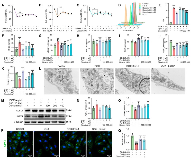 An external file that holds a picture, illustration, etc.
Object name is biomolecules-14-00422-g003.jpg