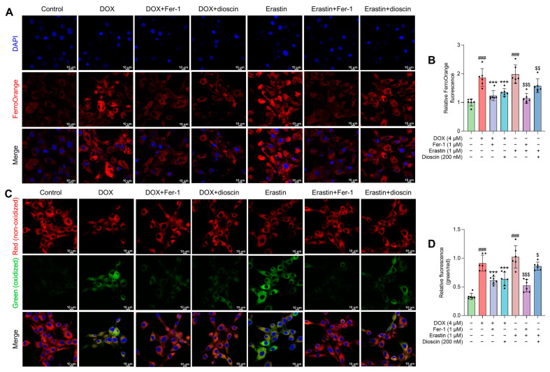 An external file that holds a picture, illustration, etc.
Object name is biomolecules-14-00422-g004.jpg