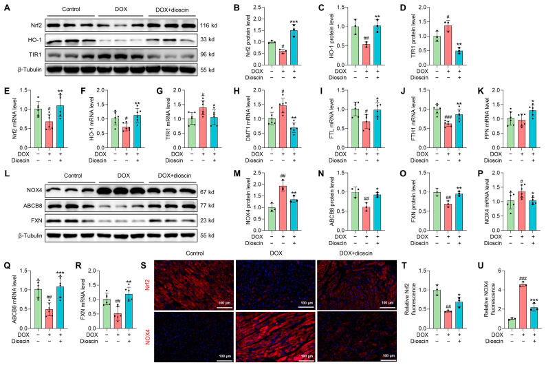 An external file that holds a picture, illustration, etc.
Object name is biomolecules-14-00422-g008.jpg