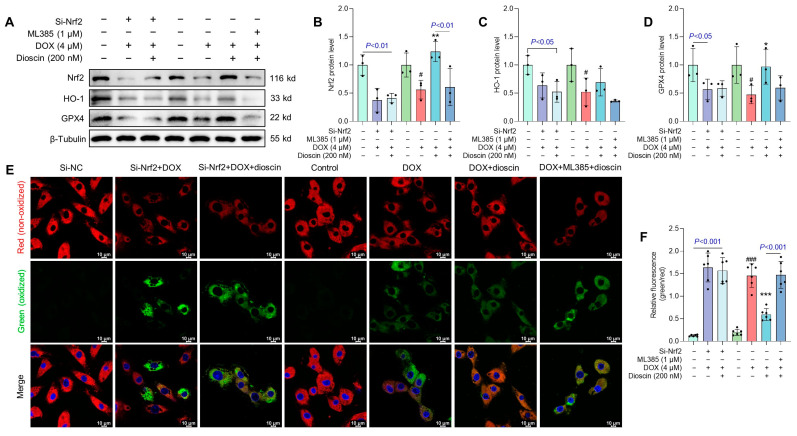 An external file that holds a picture, illustration, etc.
Object name is biomolecules-14-00422-g011.jpg