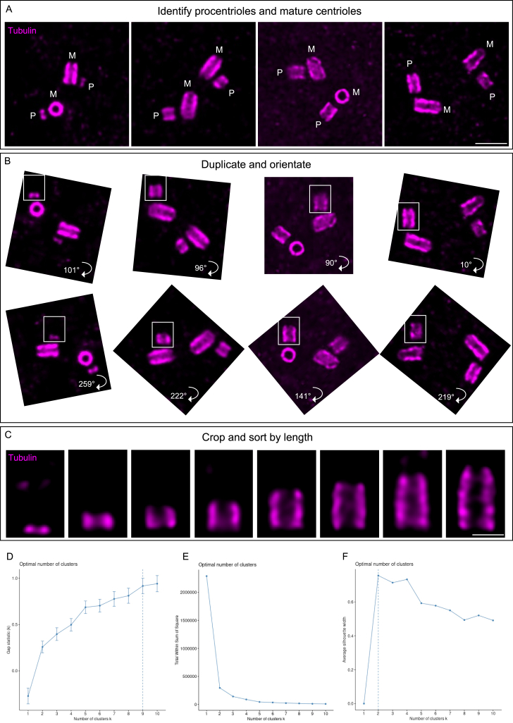 An external file that holds a picture, illustration, etc.
Object name is figs9.jpg