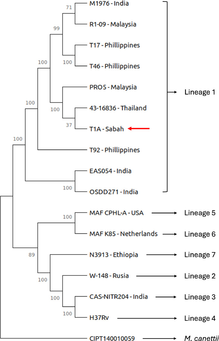 Fig 1