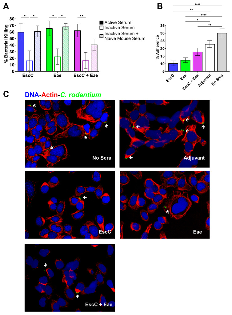 An external file that holds a picture, illustration, etc.
Object name is vaccines-12-00508-g003.jpg