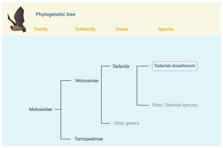 An external file that holds a picture, illustration, etc.
Object name is wellcomeopenres-9-22806-g0000.jpg