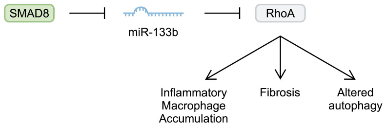 An external file that holds a picture, illustration, etc.
Object name is ijms-25-06108-g001.jpg