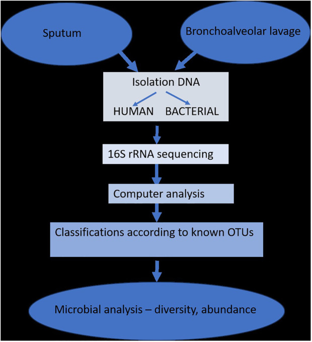 An external file that holds a picture, illustration, etc.
Object name is fcimb-14-1405399-g002.jpg