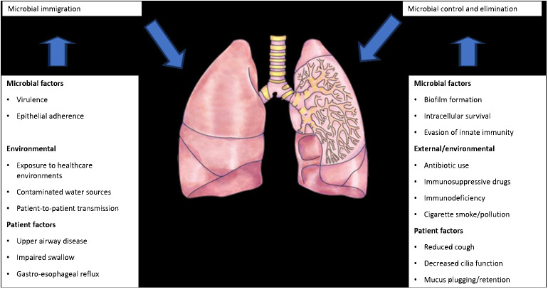 An external file that holds a picture, illustration, etc.
Object name is fcimb-14-1405399-g003.jpg