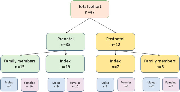 An external file that holds a picture, illustration, etc.
Object name is 10038_2024_1252_Fig2_HTML.jpg