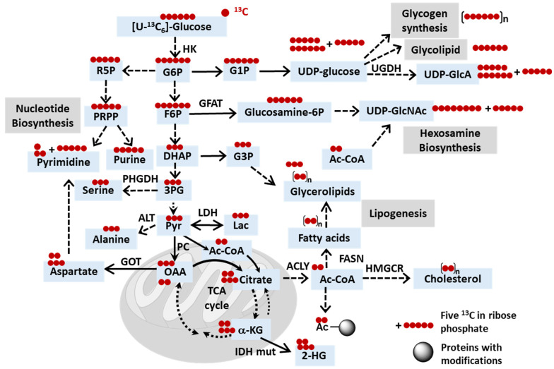 An external file that holds a picture, illustration, etc.
Object name is metabolites-14-00318-g002.jpg