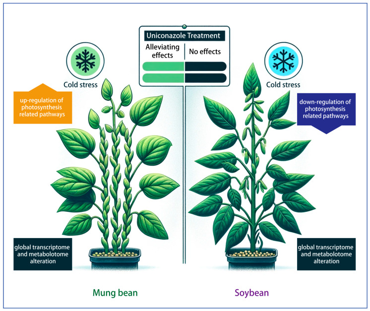 An external file that holds a picture, illustration, etc.
Object name is plants-13-01885-g007.jpg