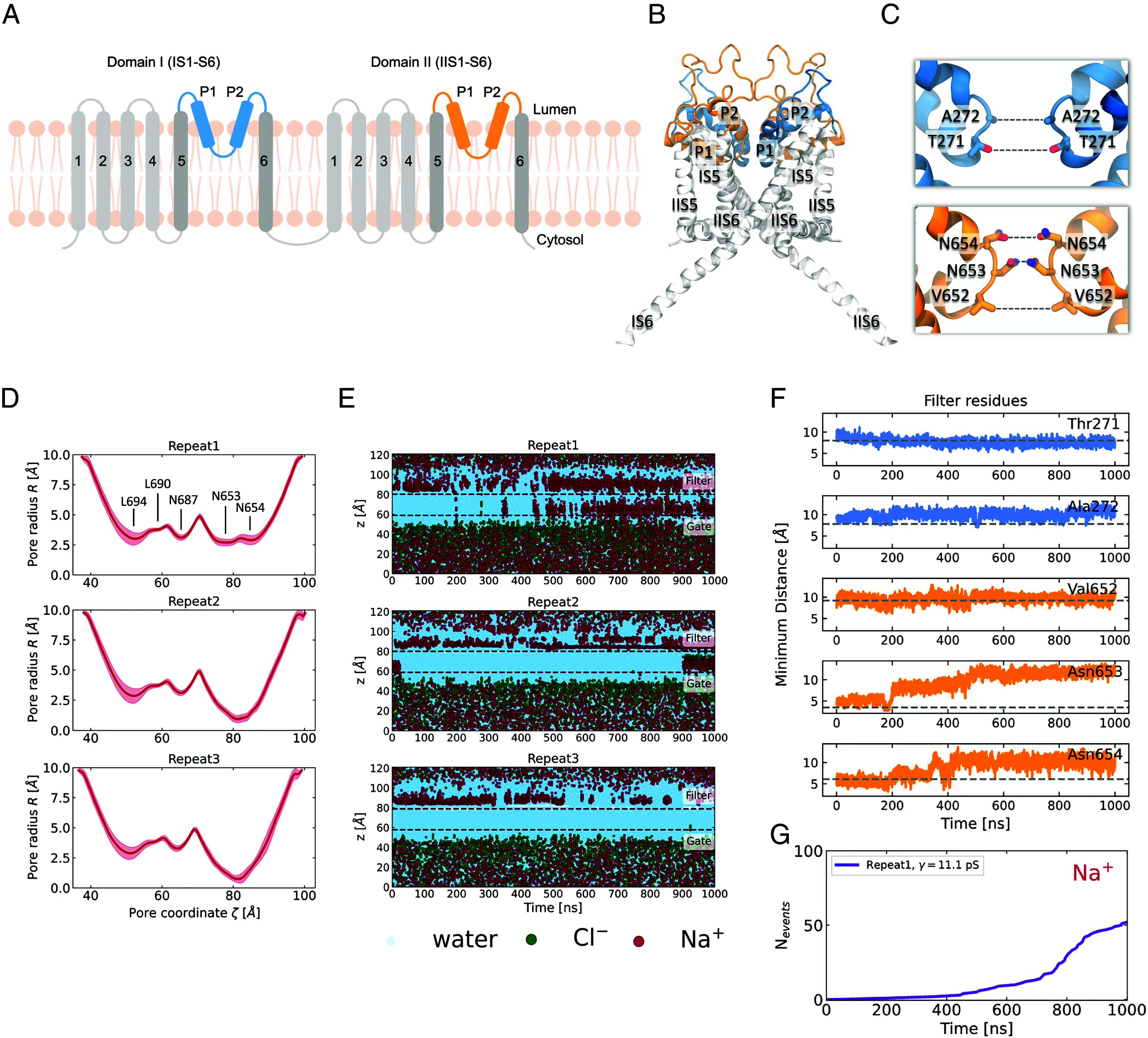 An external file that holds a picture, illustration, etc.
Object name is pnas.2320153121fig01.jpg