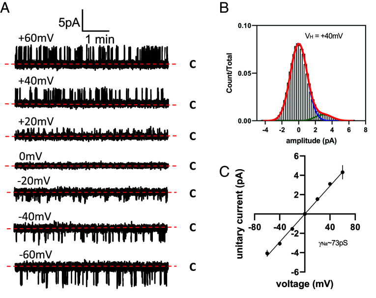 An external file that holds a picture, illustration, etc.
Object name is pnas.2320153121fig03.jpg