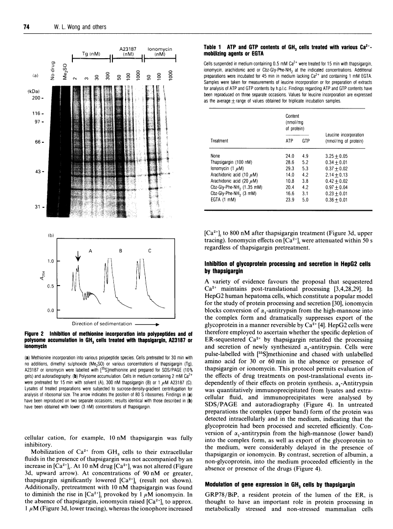 icon of scanned page 74