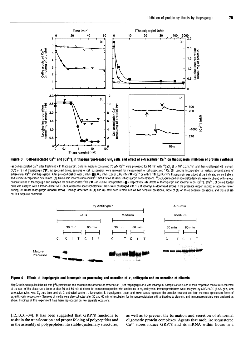 icon of scanned page 75