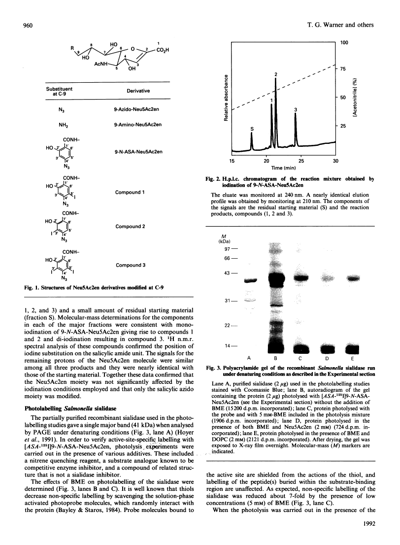 icon of scanned page 960