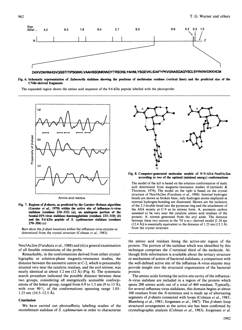 icon of scanned page 962