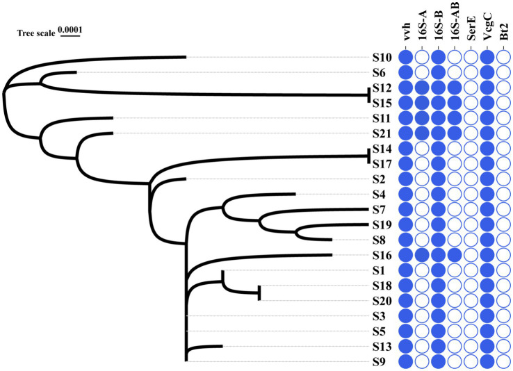 An external file that holds a picture, illustration, etc.
Object name is fmicb-15-1459466-g001.jpg