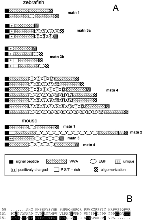 An external file that holds a picture, illustration, etc.
Object name is bic599i001.jpg