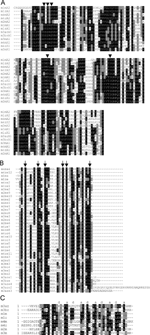 An external file that holds a picture, illustration, etc.
Object name is bic599i003.jpg