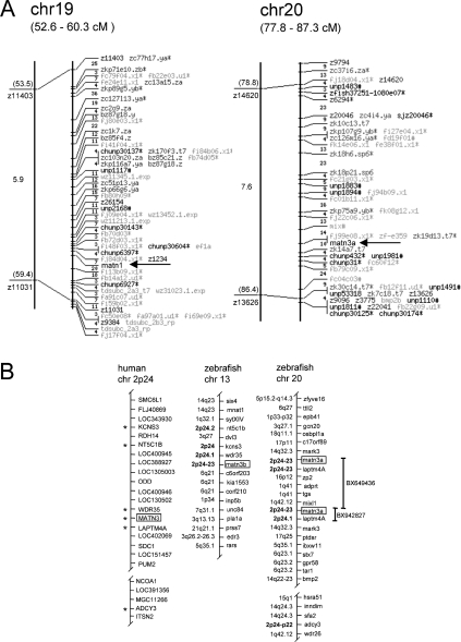 An external file that holds a picture, illustration, etc.
Object name is bic599i005.jpg